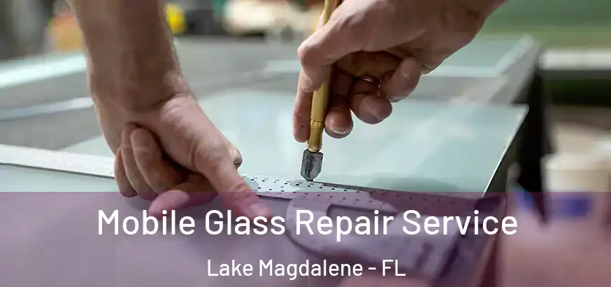  Mobile Glass Repair Service Lake Magdalene - FL