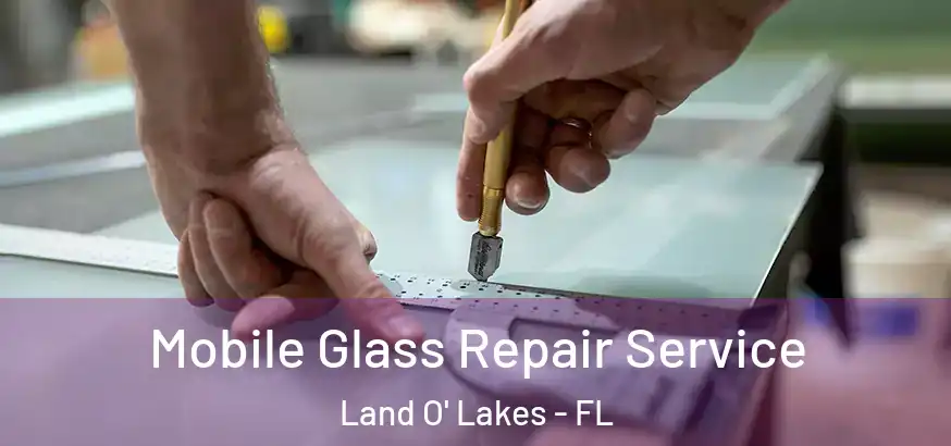  Mobile Glass Repair Service Land O' Lakes - FL