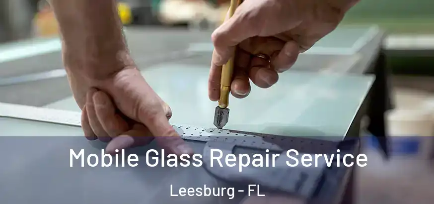  Mobile Glass Repair Service Leesburg - FL