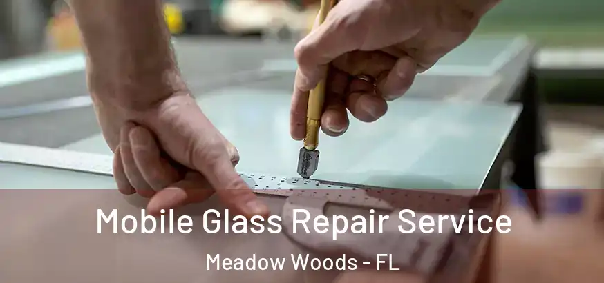  Mobile Glass Repair Service Meadow Woods - FL