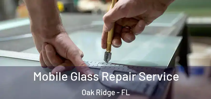  Mobile Glass Repair Service Oak Ridge - FL