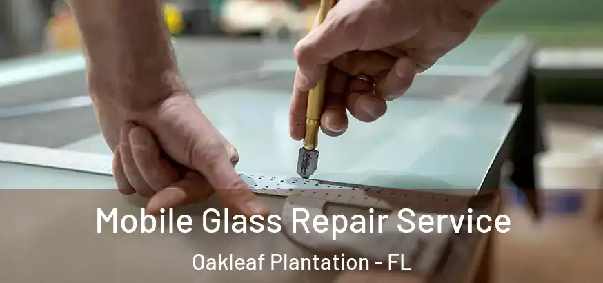 Mobile Glass Repair Service Oakleaf Plantation - FL