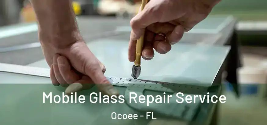 Mobile Glass Repair Service Ocoee - FL