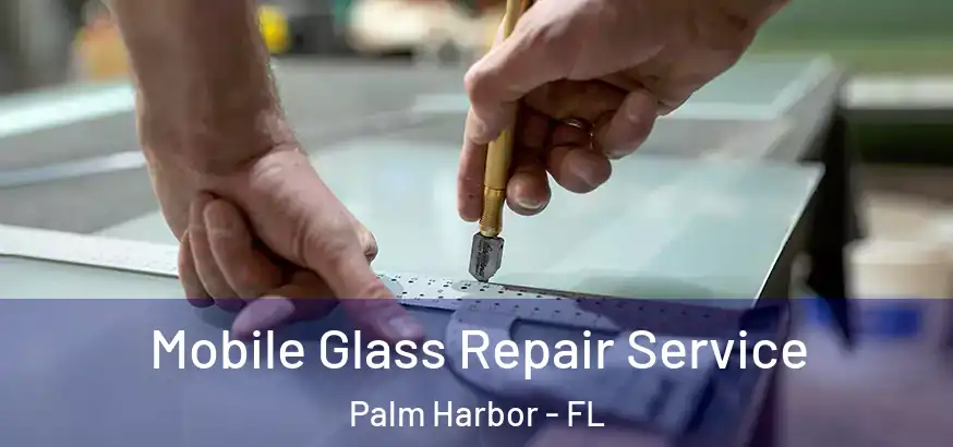  Mobile Glass Repair Service Palm Harbor - FL