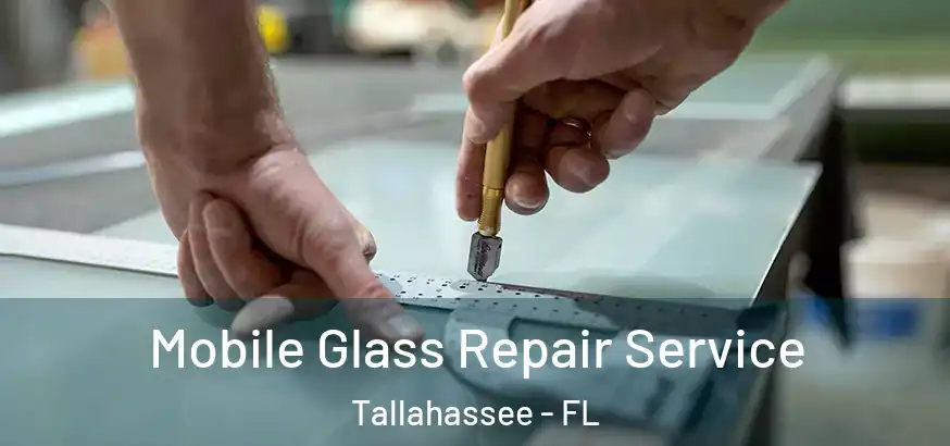  Mobile Glass Repair Service Tallahassee - FL