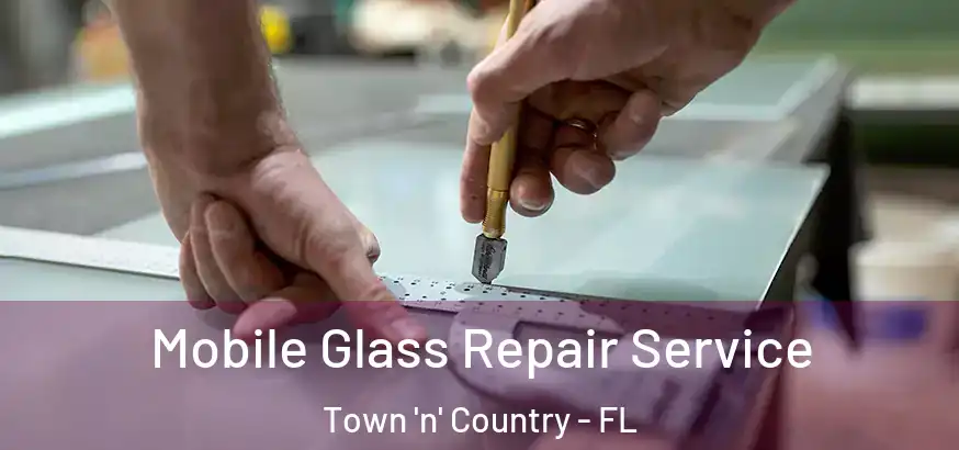  Mobile Glass Repair Service Town 'n' Country - FL