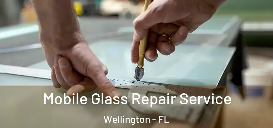  Mobile Glass Repair Service Wellington - FL
