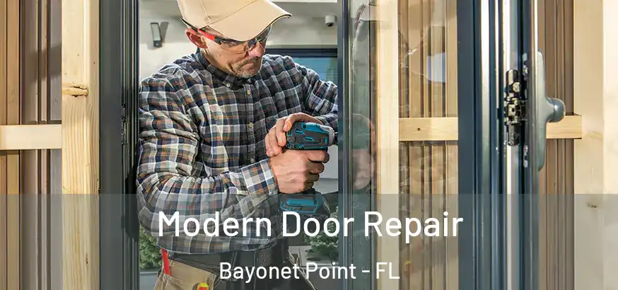  Modern Door Repair Bayonet Point - FL