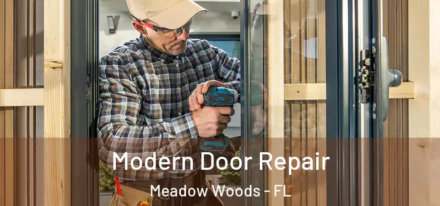 Modern Door Repair Meadow Woods - FL