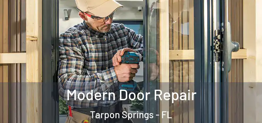  Modern Door Repair Tarpon Springs - FL