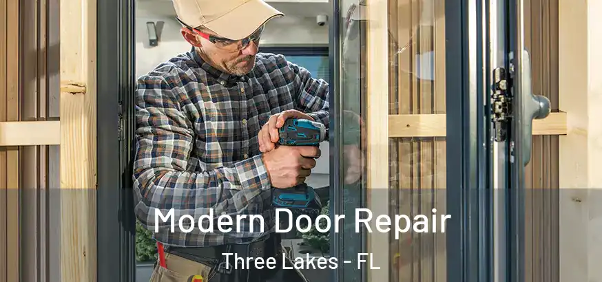  Modern Door Repair Three Lakes - FL