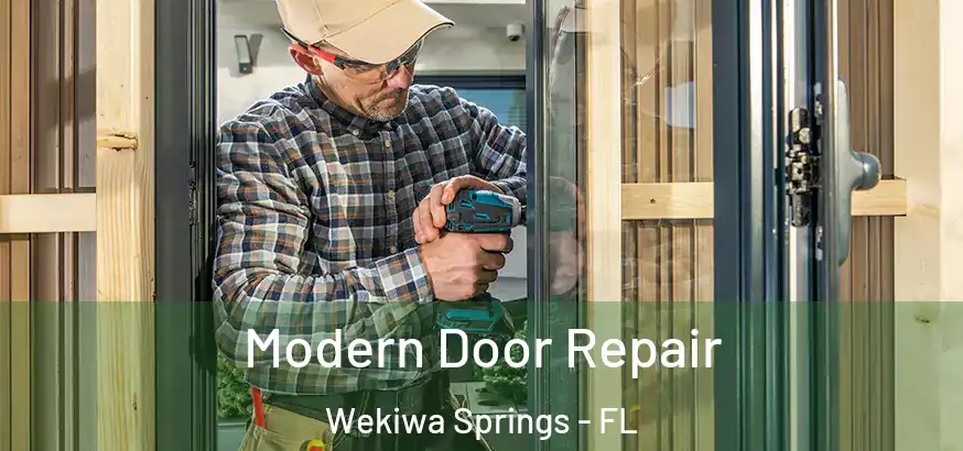  Modern Door Repair Wekiwa Springs - FL