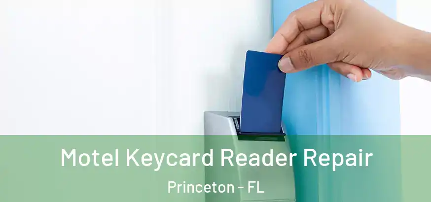 Motel Keycard Reader Repair Princeton - FL
