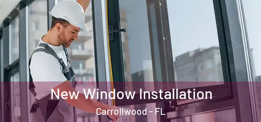  New Window Installation Carrollwood - FL