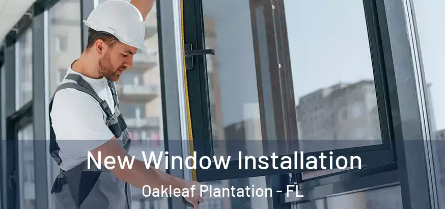  New Window Installation Oakleaf Plantation - FL
