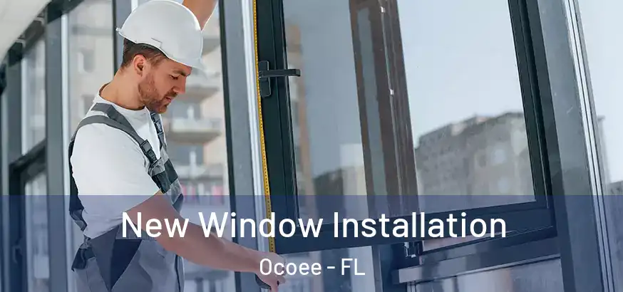  New Window Installation Ocoee - FL