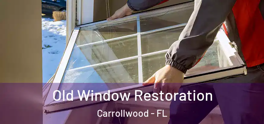  Old Window Restoration Carrollwood - FL