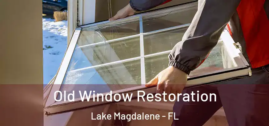 Old Window Restoration Lake Magdalene - FL