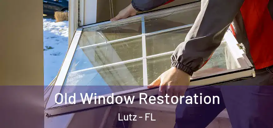  Old Window Restoration Lutz - FL