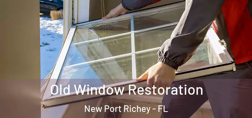  Old Window Restoration New Port Richey - FL