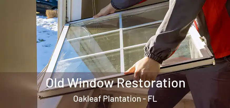  Old Window Restoration Oakleaf Plantation - FL