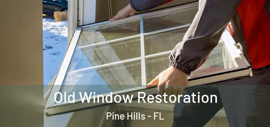  Old Window Restoration Pine Hills - FL