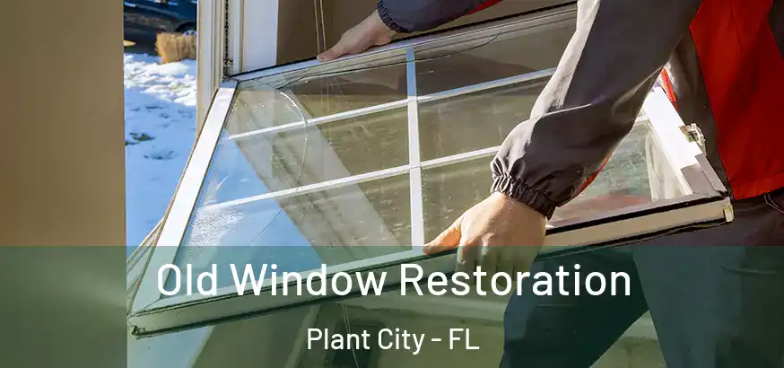  Old Window Restoration Plant City - FL