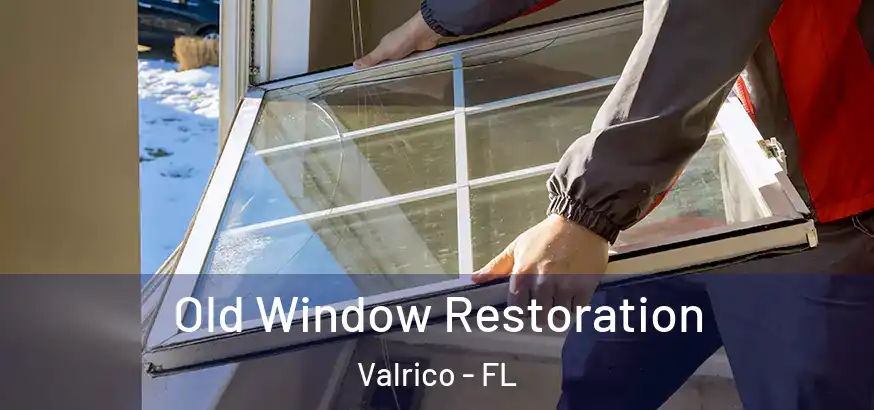  Old Window Restoration Valrico - FL