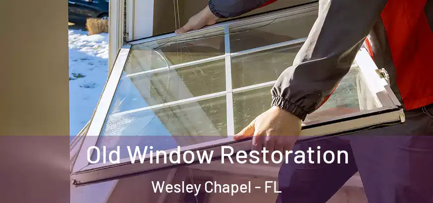  Old Window Restoration Wesley Chapel - FL