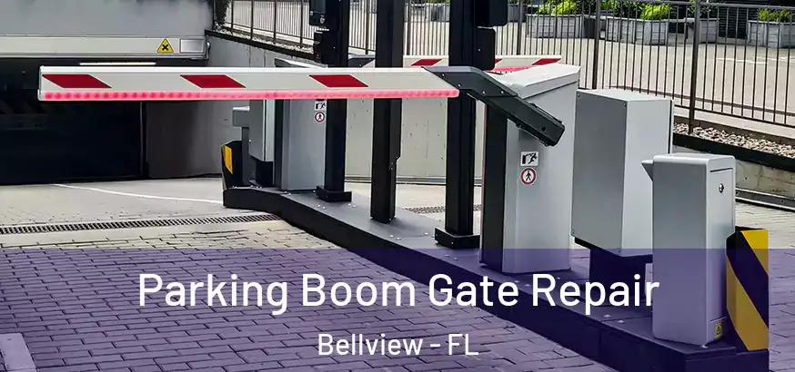  Parking Boom Gate Repair Bellview - FL