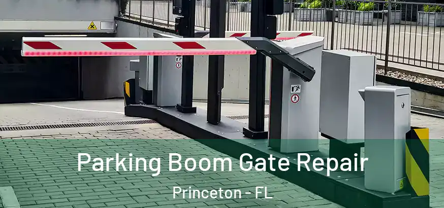  Parking Boom Gate Repair Princeton - FL