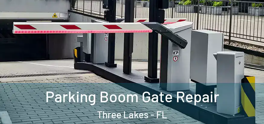 Parking Boom Gate Repair Three Lakes - FL