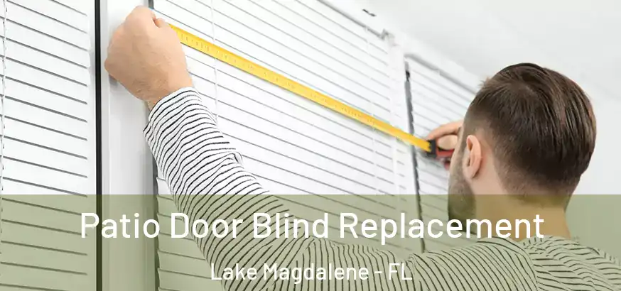  Patio Door Blind Replacement Lake Magdalene - FL