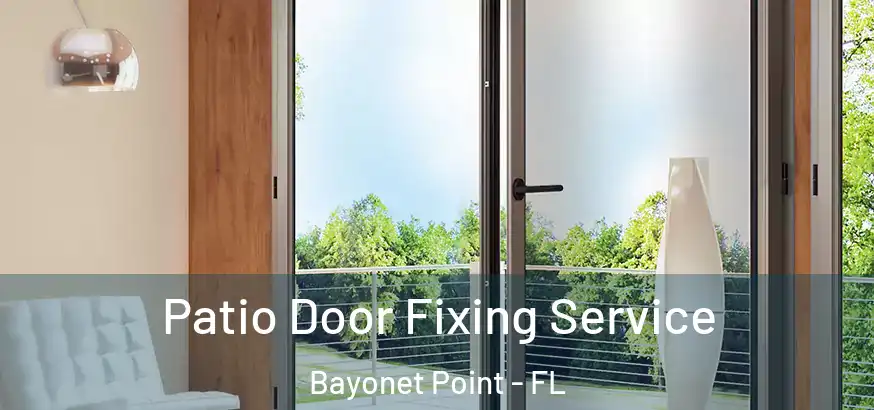  Patio Door Fixing Service Bayonet Point - FL