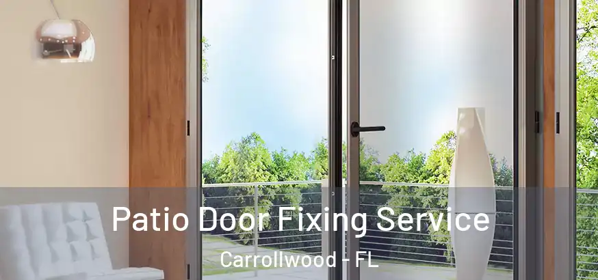  Patio Door Fixing Service Carrollwood - FL