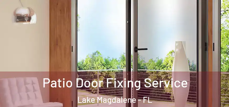  Patio Door Fixing Service Lake Magdalene - FL