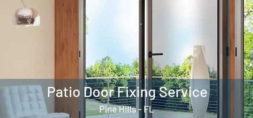 Patio Door Fixing Service Pine Hills - FL