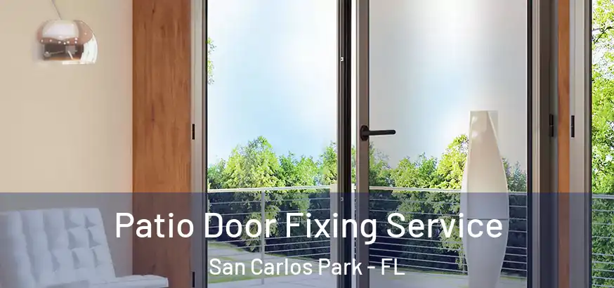  Patio Door Fixing Service San Carlos Park - FL