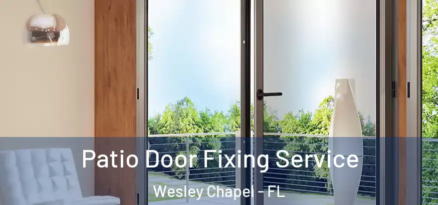 Patio Door Fixing Service Wesley Chapel - FL
