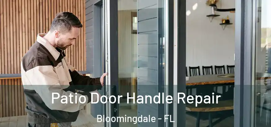  Patio Door Handle Repair Bloomingdale - FL