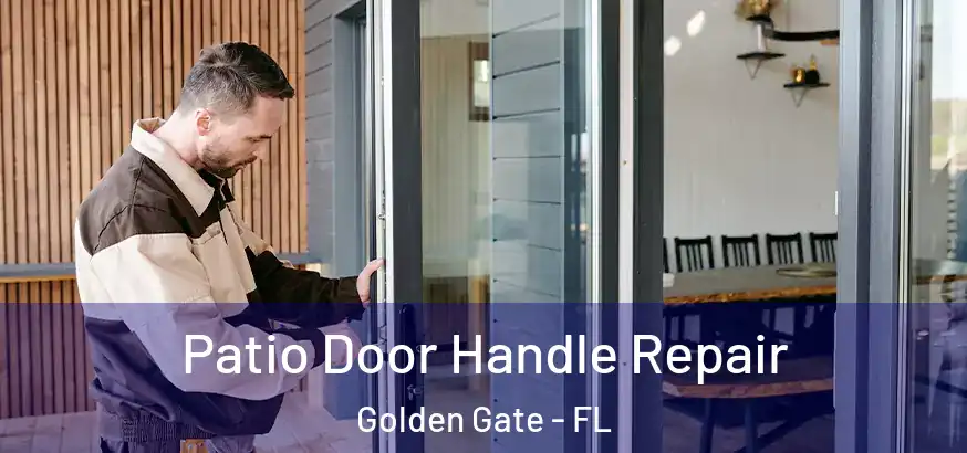  Patio Door Handle Repair Golden Gate - FL