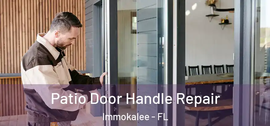  Patio Door Handle Repair Immokalee - FL