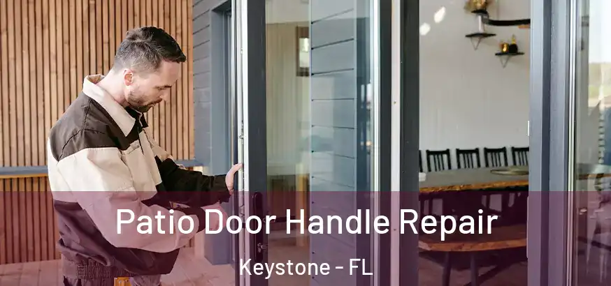  Patio Door Handle Repair Keystone - FL