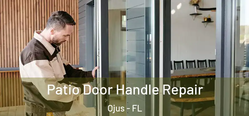 Patio Door Handle Repair Ojus - FL