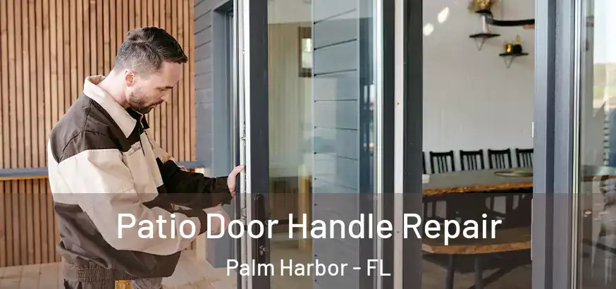 Patio Door Handle Repair Palm Harbor - FL