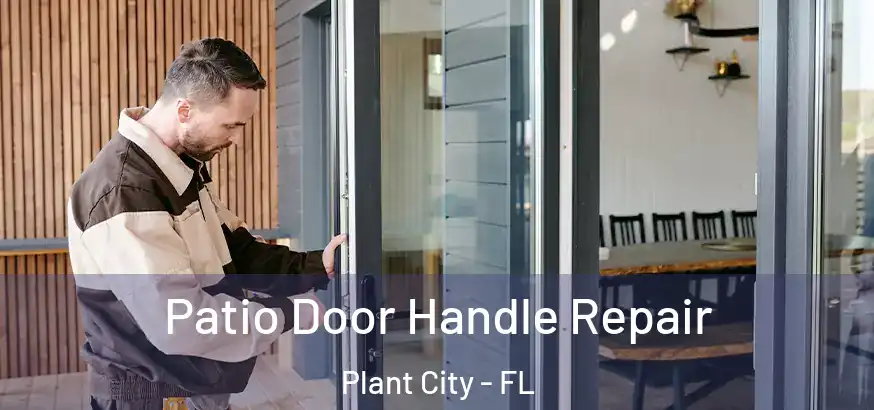  Patio Door Handle Repair Plant City - FL
