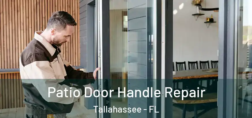  Patio Door Handle Repair Tallahassee - FL