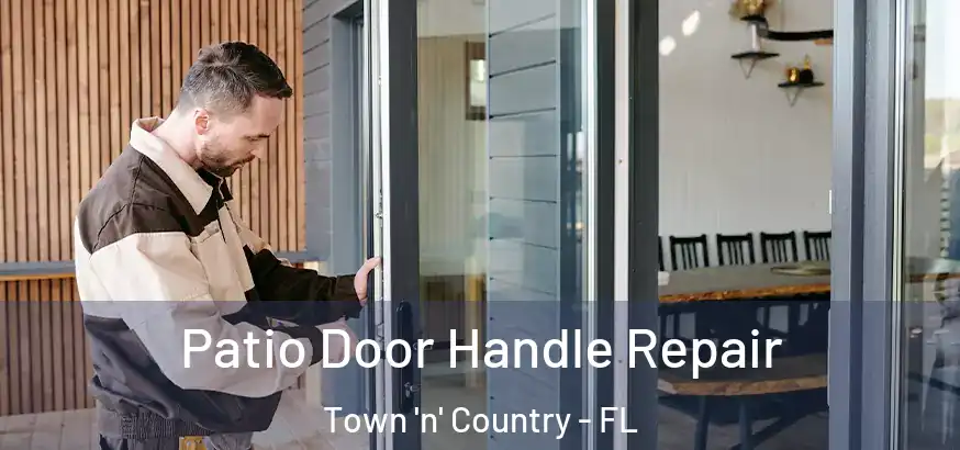  Patio Door Handle Repair Town 'n' Country - FL