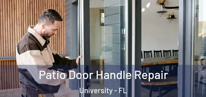 Patio Door Handle Repair University - FL