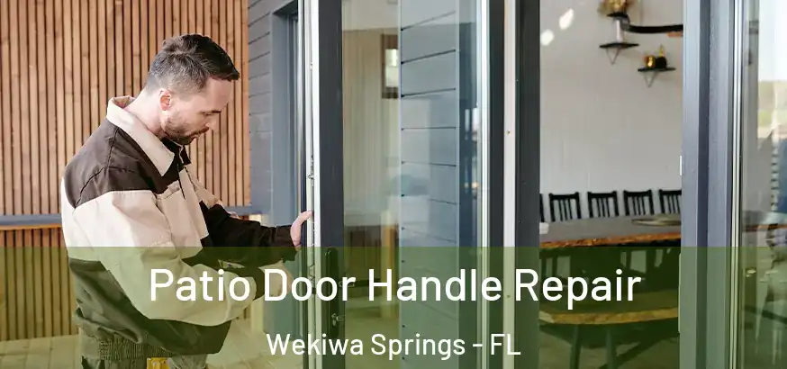  Patio Door Handle Repair Wekiwa Springs - FL